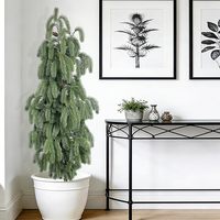 Sapin de Norfolk à toucher réel de 5 pieds |   Plantes artificielles en pot avec pot noir pour la décoration intérieure et extérieure