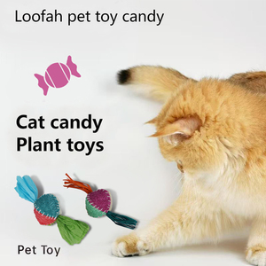 ของเล่นแมวใยบวบผสมแคทนิป สำหรับกัด เล่น และทำความสะอาดฟัน - Product Image 2