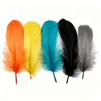 Plumes d'oie naturelles pour l'artisanat, le bricolage, les stylos, les coiffes, les costumes, les chapeaux, les accessoires pour cheveux, les décorations de carnaval, de fête et de mariage