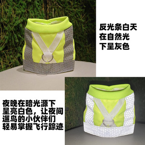 Abbigliamento riflettente per pappagalli, imbracatura per uccelli domestici, pannolino, sacchetto per escrementi, biancheria intima, tuta da volo per piccioni - Product Image 4
