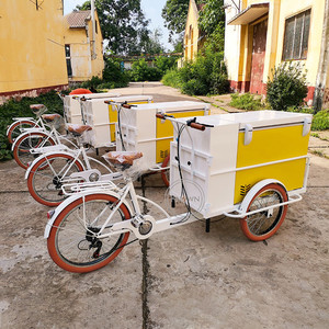 Tricycle électrique personnalisé avec congélateur, vélo électrique, 10 pouces, Street, alimentation, réfrigérateur - Product Image 2