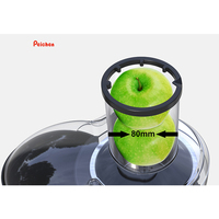 Grote Diameter 1000W Fruit En Groente Juicer