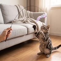 Jouet pour chat en plastique léger, résistant aux chocs et imperméable, anti-morsure, facile à nettoyer, avec plume détachable pour abri.