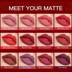 <span class=keywords><strong>SACE</strong></span> <span class=keywords><strong>LADY</strong></span> Lápiz Labial Mate Color Nude, Maquillaje Impermeable, Labios Rojos de Larga Duración, Batom de Terciopelo, Maquillaje en 12 Colores, Cosméticos al por Mayor - Product Image 5