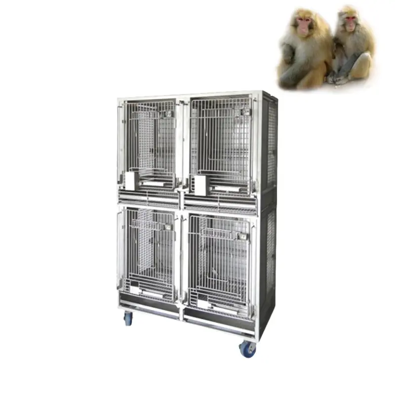 Laboratorio gabbia per animali in acciaio inox 304 materiale da laboratorio gabbia per scimmie in 4 singole gabbie per animali