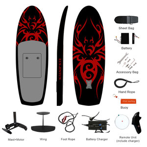 OEM Surfboard Outdoor Adult Water Carbon Fiber Lithium Hydrofoil Plate E-20 High Endurance E-20 - Product Image 3