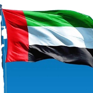 Spedizioniere porta a porta trasporto marittimo più economico DDP spedizione in Arabia Saudita
