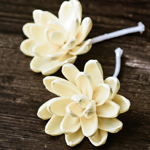 Newell bastoncini per diffusori a lamella misti fiori assortiti a stelo in legno di Sola diffusore floreale bianco Sola fiore con corda di cotone - Product Image 3