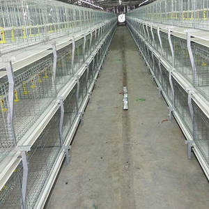 Cage automatique pour poulets de chair de poule en acier galvanisé à chaud vente en gros - Product Image 4