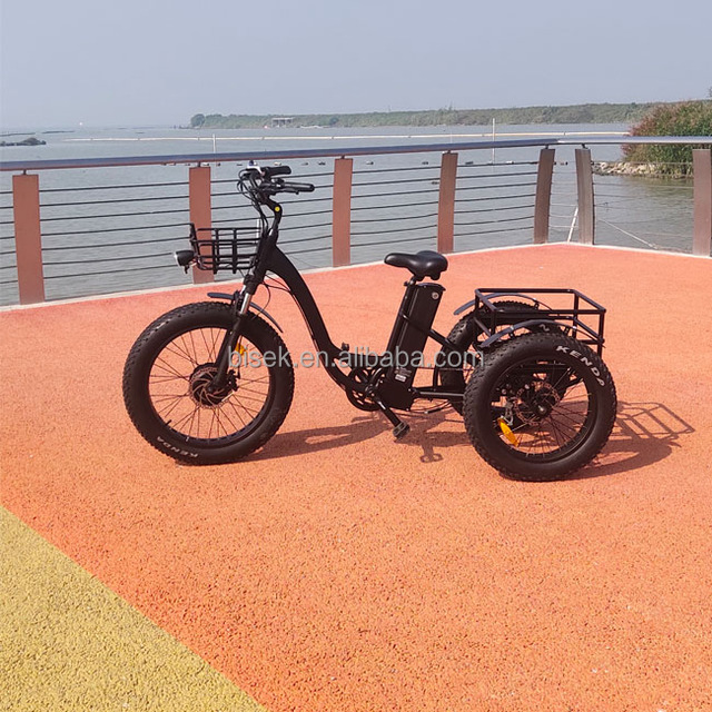 Lowrider Trike: Custom Designs & Features Explained