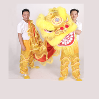 Costume de danse du lion de style sudiste, performance de danse du lion
