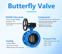 Vanne papillon manuelle à vis sans fin à logo personnalisé Lanhui D341X, à bride, pour eau, GGG50 PN16, joint souple EPDM, 100 % testée, garantie 2 ans