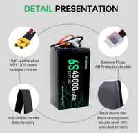 Batterie rechargeable OEM haute tension 6S 12S 14S 18S 24S 46000mAh 450000mAh pour drone FPV UAV