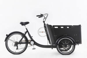 Tricycle électrique à trois roues à chargement frontal, nouveau modèle OEM, pour adultes, avec caisse en bois, <span class=keywords><strong>remorque</strong></span> de transport pour vélo électrique - Product Image 4