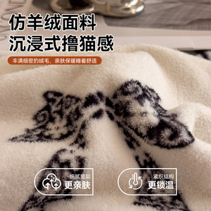 Couverture polaire double face imitation cachemire, rectangulaire, chaude, pour l'hiver, 300g et moins - Product Image 4