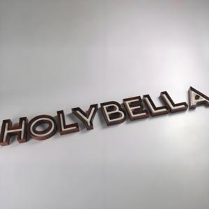 Custom 3d <span class=keywords><strong>Led</strong></span> Licht Metalen Bord Waterdicht Zakelijk Restaurant Schoonheidssalon Logo Roestige Letter Shell Ingebed <span class=keywords><strong>Neon</strong></span> Bord