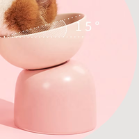 Bols en céramique durables et légers pour animaux de compagnie, chats, chiens et oiseaux, imperméables, nouveau design, bol biseauté, support pour nourriture et eau