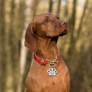 사용자 정의 DIY 도매 은색 발톱 개 태그 레터링 섬세한 간단한 금속 태그 - Product Image 6