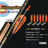 Flèche de tir à l'arc en carbone pur Pandarus Champion 0,001'' ID 6,2 mm 32 pouces SP300/350/400/500/600/700/800 avec plume en plastique