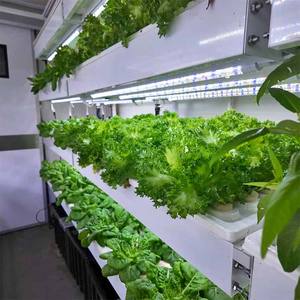 Système de culture hydroponique et aquaponique automatique Skyplant pour micro-légumes, avec serre motorisée et conteneur de culture pour plantes, pour usage commercial en intérieur - Product Image 2