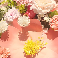 Arche de fleurs artificielles papillon rose faite à la main en soie, imperméable et écologique, pour toile de fond de mariage, événement, fête et photographie