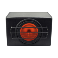 Caisson de basses audio de voiture 12 pouces de haute qualité avec amplificateur RMS 200w système de son actif Spl DC 12v boîte de caisson de basses actif de voiture