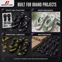 Chanclas de PVC con Correa Personalizada, Desarrollo de Molde con Logotipo de Marca Privada, Calzado de Verano de Marca, Proveedor de Pedidos al por Mayor OEM