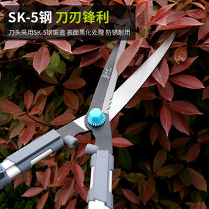 Forbici Telescopiche per Siepi SS001, Lama in Acciaio ad Alto Tenore di Carbonio 45-60 cm, Attrezzo da Giardino Grigio per Taglio Arbusti - Product Image 1