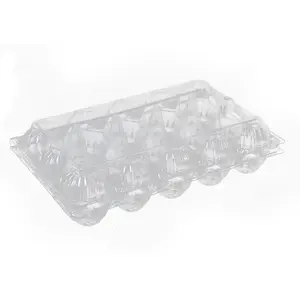 15 Ecofriendly Rectangle PET Plastic Egg Cartons Clear Shockproof Blister Process Supplier Packaging Tray