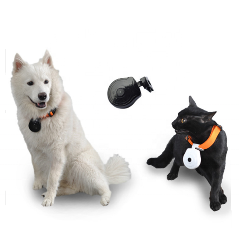 Микро камера для домашних животных мини камера для записи собаки ошейник для домашних животных камера ошейник для кошки видео