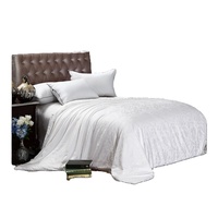 Couette/édredon en soie Tussah pour l'hiver 230x250cm, poids du rembourrage 2500g, ultra douce, naturelle