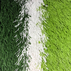 JS <span class=keywords><strong>Semillas</strong></span> <span class=keywords><strong>de</strong></span> Hierba <span class=keywords><strong>de</strong></span> Fútbol Natural <span class=keywords><strong>DE</strong></span> LA Mejor Calidad, Césped Artificial <span class=keywords><strong>para</strong></span> Cancha <span class=keywords><strong>de</strong></span> Fútbol <span class=keywords><strong>para</strong></span> Cancha Deportiva - Product Image 2