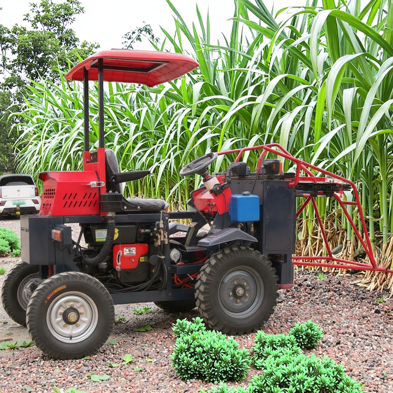 Very Good Combined Harvester for Sugar