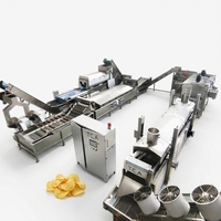 Productielijn voor aardappelchips met PLC-gestuurde frituurcurve voor een nauwkeurige gouden kleur in elke batch snackproductie