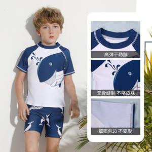 JH22206 ชุดว่ายน้ำเด็กผู้ชาย ชุดว่ายน้ำพิมพ์ลายปลาวาฬแห้งเร็วสำหรับเด็กอายุ 7-12 ปี ดีไซน์สีฟ้าขาว - Product Image 3
