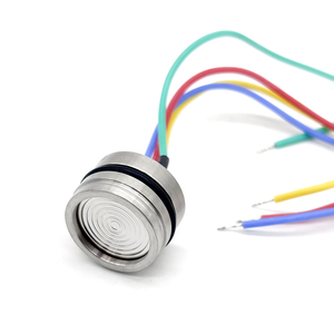 Capteur de silicium diffusé importé de haute précision OEM Core 210 - Product Image 5