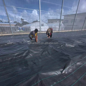 Tapis de contrôle des adventices en PP durable avec découpe professionnelle en rouleau <span class=keywords><strong>pour</strong></span> l'agriculture des vergers et des arbres fruitiers, certifié CE - Product Image 5