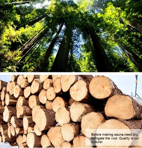 Угловая модель 6 человек большой инфракрасный углерода/Керамическая сауна - Product Image 4