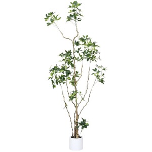 Plante artificielle Schefflera Dream Castle 100-200cm, arbre décoratif d'intérieur, décoration pour la maison et le bureau - Product Image 5