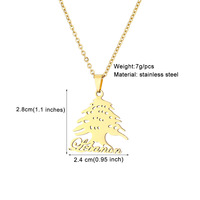 Collier pendentif en acier inoxydable avec carte du Liban et drapeau du cèdre pour hommes et femmes, bijoux ethniques, collier avec emblème national du Liban