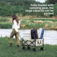Chariot de pique-nique pliable BTYP TC-11 en métal pour le camping en plein air, chariot portable pour véhicule, petite remorque avec roues pivotantes