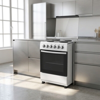 Cuisinière à gaz et électrique 2 brûleurs 2 plaques chauffantes avec four, modèle autoportant blanc pour la cuisson domestique