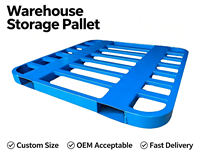Palette en acier double face, revêtement poudré, robuste, entrée à 2 voies, empilable, pour entrepôt industriel, stockage, sur mesure, OEM
