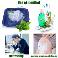 Poudre de menthol cristal pour désodorisant, extrait naturel de plante, poudre de menthe, vente en gros CAS 89-78-1