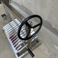 HDWYSY Barbecue au charbon de bois pour poulet, style argentin, en acier inoxydable, avec chariot, hauteur réglable, capacité 2-3 personnes