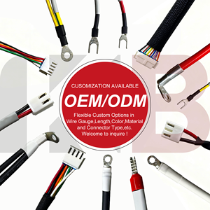 Kabel Terminal PH2.0mm Pitch Female Male 26AWG Single-end Wiring Harness 200mm Tersedia 2 4 6 8 10 12p untuk Kelistrikan Otomotif - Product Image 6