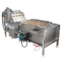 HDF Automatische Motorisch Aangedreven Clementine Wasmachine 304 RVS Fruit- en Groenteverwerkingsmachine 800kg/uur Capaciteit