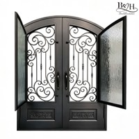 Porte d'entrée en fer forgé cintrée avec verre trempé, revêtement poudré, antirouille, design décoratif pour maison de luxe