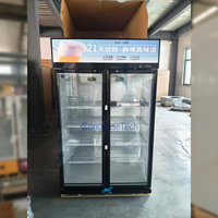 Congélateur commercial à double porte vitrée, refroidissement par air, dégivrage automatique, éclairage LED, 800L, pour boutique de chocolat