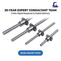 Vis à billes en acier CNC haute vitesse GS avec roulement à billes C7 de précision SFU1604 Gcr15, filetage fraisé, longueur 100 mm, garantie 1 an